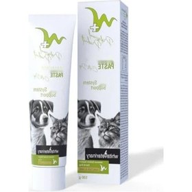 Resim Bağışıklık Destekleyici Kedi Macunu - 100 Gr 