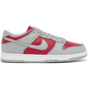 Resim Nıke Dunk Low Qs Renkli Erkek Spor Ayakkabı Fq6565600 I-129 Açık Gri 