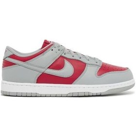 Resim Nıke Dunk Low Qs Renkli Erkek Spor Ayakkabı Fq6565600 I-129 Açık Gri 
