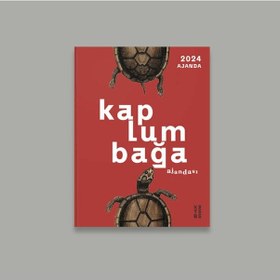 Resim Ketebe Dükkan Kaplumbağa Ajandası 2024 
