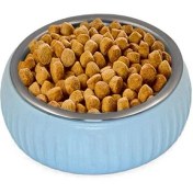 Resim Mikopet Organik Seramik Mama Kabı Mavi 