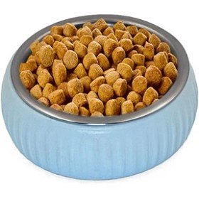 Resim Mikopet Organik Seramik Mama Kabı Mavi 