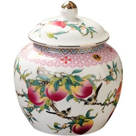 Resim Suntek Magideal Seramik Zencefil Kavanozu Zarif Saklama Kavanozları 1200ml 