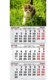 Resim 2026 Yılı Gemici Takvimi-yavru Kedi 