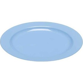 Resim Plastik Mavi Tabak 26 Cm - 10 Adet N11.998 