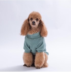 Resim Yeşil Teddywood Ayıcık Nakışlı Esnek Sıcak Tutan Köpek Sweati Köpek Kıyafeti Kedi Kıyafeti 