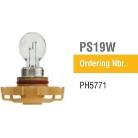 Resim Fardoktoru PSR19W Oto Halojen Ampul 