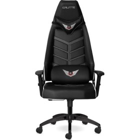 Resim Calitte Profesyonel Oyuncu Koltuğu | Titan Tt Eco | Beyaz 