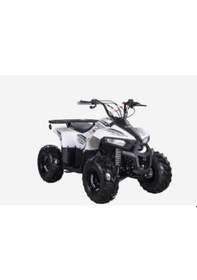 Resim Skyjet 110 cc off-road ATV 