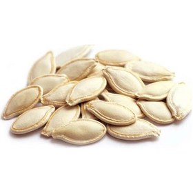 Resim Doğal Çerezlik Kabak Nevşehir Kabak Çekirdeği Tohumu 20 Ad Tohum 