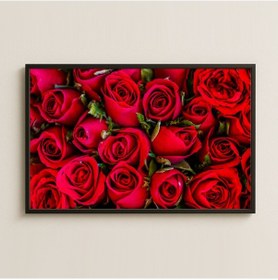 Resim Kırmızı Gül Buketi Detay Fotoğraf Dijital Pleksi Tablo 