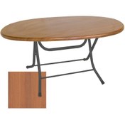 Resim Klasik Katlanır Werzalit Tabla Oval Masa 94x146 