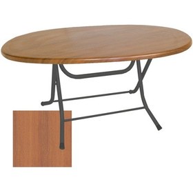 Resim Klasik Katlanır Werzalit Tabla Oval Masa 94x146 