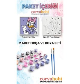 Resim Sayılarla Boyama 20x20 Cm Tuval Seti Fırça Boya Dahil Çıtaya Gerili - Kitty 