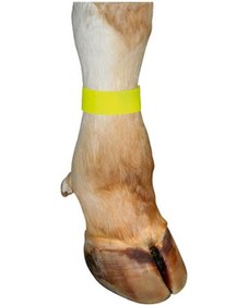 Resim Cırtlı Büyükbaş Ayak İşaretleme Bandı Sarı (10 adet/paket) 