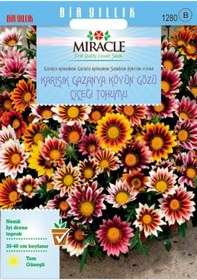 Resim Miracle Karışık Renkli Koyun Gözü Gazanya Çiçeği Tohumu 78 Tohum 