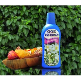 Resim Çiçek Coşturan Çiçekli Çiçeksiz Tüm Süs Bitkileri Için 