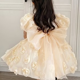 Resim Kızlar için prenses elbisesi, yeni bej 3D gül doğum günü kıyafeti, şov sunucusu performansı sahne çıkışı, çiçek kız çocuk düğünlerine uygun; yaş partileri, aylık etkinlikler, konuşma birincilikleri ile diğer önemli özel anlara ideal 