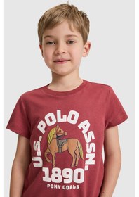 Resim U.s. Polo Assn. Erkek Çocuk Vişne Tişört 50327000-vr223 