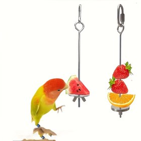 Resim 1 adet Papağan Meyve Çatalı, 304 Paslanmaz Çelik Sebze Mısır saç tokası Meyve Klipsi, Kuş Besleme Araçları 