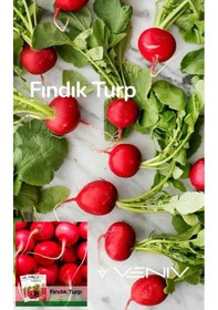 Resim 1000 Adet Fındık Turp Tohumu- Paket 