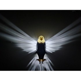 Resim Adaptörlü Renkli Kartal Aplik Modeli Yeni Sarı Gaga-pençe Siyah - Sarı 