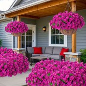 Resim 10 Demet Canlı Renkli Yapay Morning Glory - UV ve Güneşe Dayanıklı, Gerçekçi Dış Mekan Dekorasyon Bitkileri; Bahar/Yaz Kapıları, Verandalar, Balkonlar, Mevsimsel Kutlamalar, Düğünler ve Ev Dekoru İçin Mükemmel (Saksısız) 