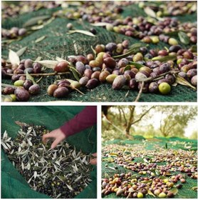 Resim 5x5 Metre Zeytin Sergisi Zeytin Toplama Filesi Fındık Fıstık Örtüsü %75 Gölgelik Dut Meyve Sergisi Taban Örtüsü 