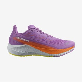 Resim Salomon AERO BLAZE 2 Kadın Koşu Ayakkabısı Iris Orchid L47426300 