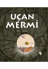 Resim Uçan Mermi - Bai Bing - Edam 