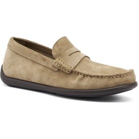 Resim Oxford Klasik Erkek 14d2 Frau Castoro Avena Beige Çok Renkli 