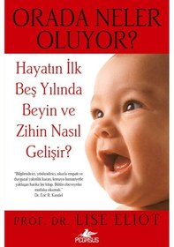 Resim Orada Neler Oluyor Prof. Dr. Lise Eliot 