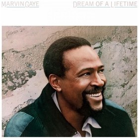 Resim Marvin Gaye Dream Of A Lifetime (Transparent Blue Vinyl) - Plak 