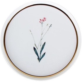 Resim Porland Botanical Desen4 Düz Tabak 21cm 