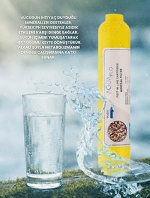 Resim ELEGANS Lite Mineralli Çelik Tanklı Su Arıtma Cihazı (SDNP11-M-S) 