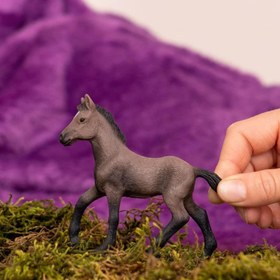 Resim Schleich Paso Peruano Tayı 13954 