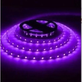 Resim Mor Işık 4040 5 mt 12 V Şerit LED Helios Opto 