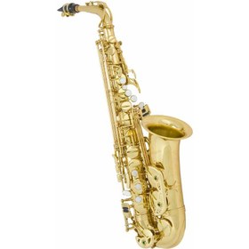 Resim Antigua AS3100 Mib Alto Saksafon 