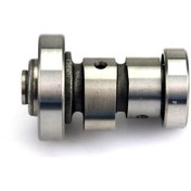 Resim Dinosaurs Yamaha 125zuma125 Yw125 Bws125 Eksantrik Mili Tertibatı İçin Geçerlidir Gosterildigi Gibi 