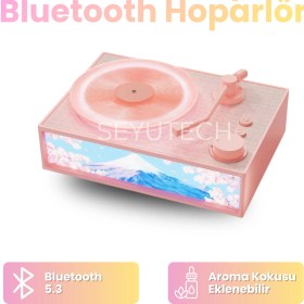 Resim Aroma Terapi Bluetooth Hoparlör Nostalji Plak Görünüml 3D Ses Dalgası Işıklı Aroma Difüzörü 
