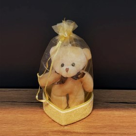 Resim Hediyelik Kese Içinde Ayıcık 