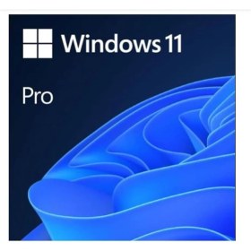 Resim Ms Wındows 11 Pro 32/64 Bıt Tr Kutu USB HAV-00159 