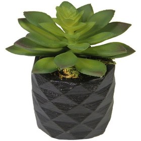 Resim Yapay Mini Etli Echeveria Sukulent Yeşil 12 Cm Saksılı Yeşil 