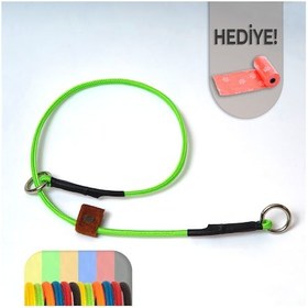 Resim Pakuna Köpek Eğitim Tasması, Ayarlanabilir Boğma Tasma Yeşil 