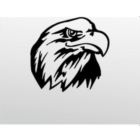 Resim Folyo Sticker Kartal Adkpquy618 40cm Uzunluk Siyah 