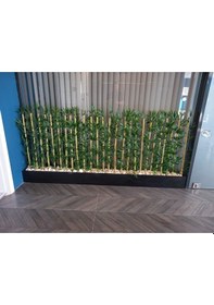 Resim 100 Cm 2 Adet Saksı 40 Adet 200 Cm Bambu Speratör Yeşil 