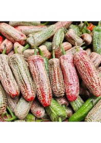 Resim Nadir Ata Tohum Jalapeno Farmers Biber Tohumu 10 Tohum 