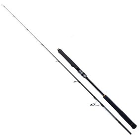 Resim Ryuji Seawolf 198cm 30-150gr Jig Ve Tekne Olta Kamışı 