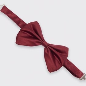 Resim Tudors Erkek Bordo Papyon-36834 Bordo 