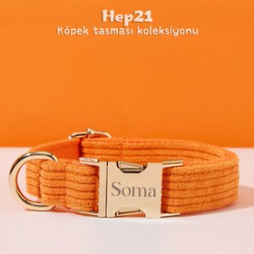 Resim Dog Collar Named Orange Velvet Collar 541506 - 5pcs set / XS 